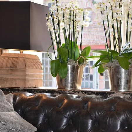 Bed & Breakfast Brouwershuis Ten Ezele